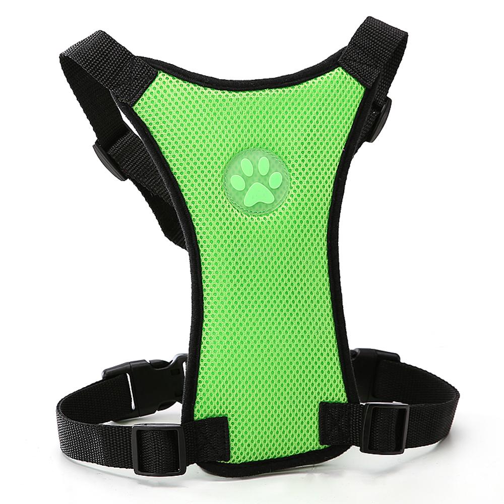 Dog harness D-ring and buckle detail