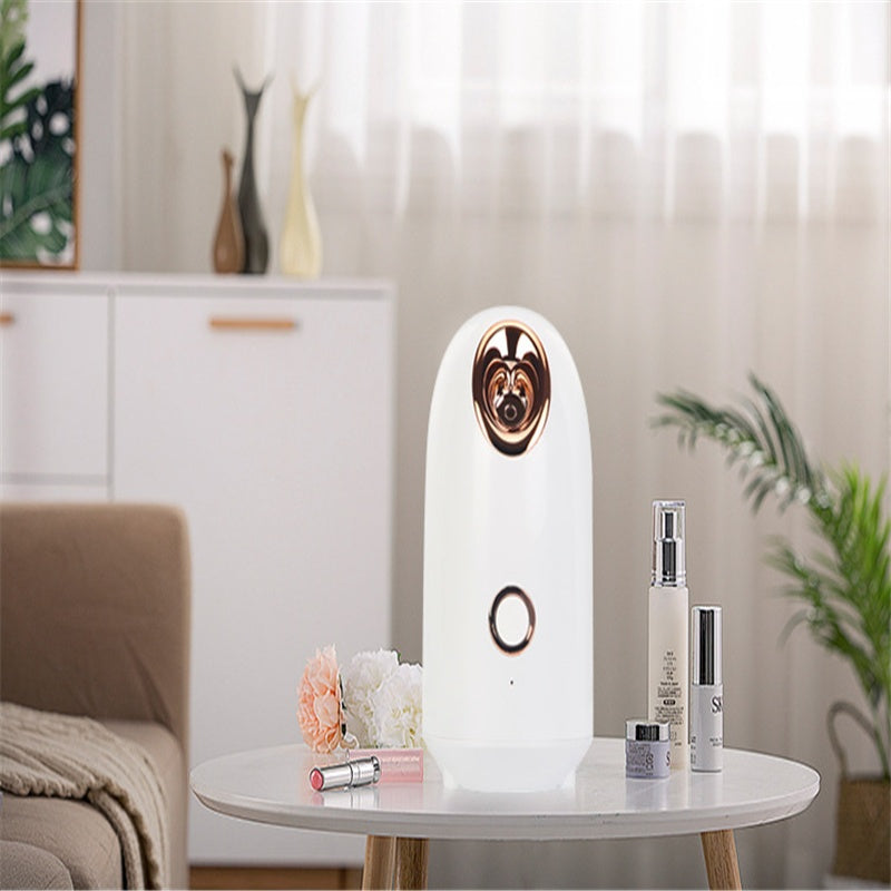 Facial Beauty Steamer – packaging