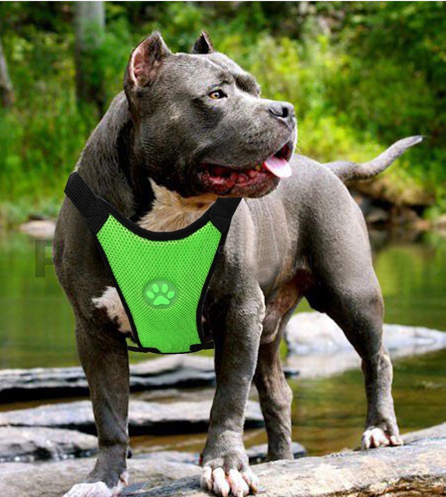 Dog car safety harness in multiple color options