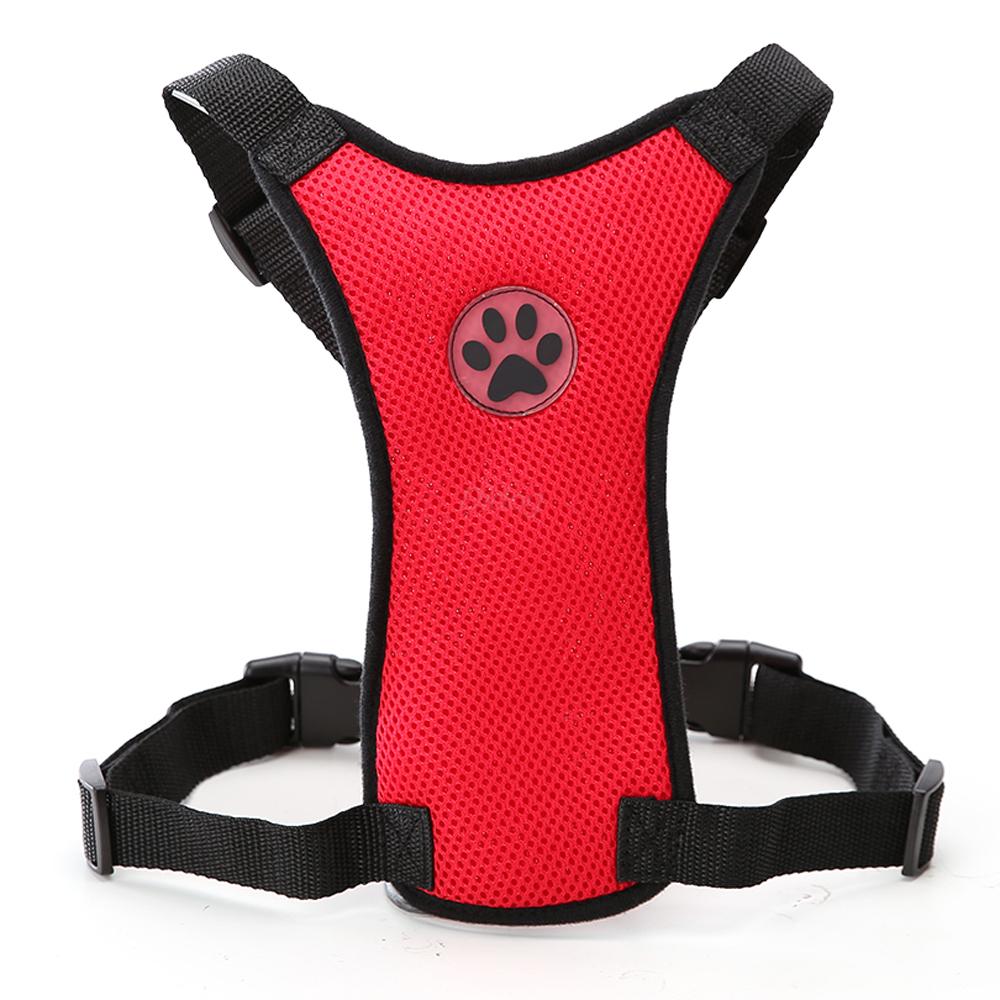 Dog wearing car safety harness in vehicle