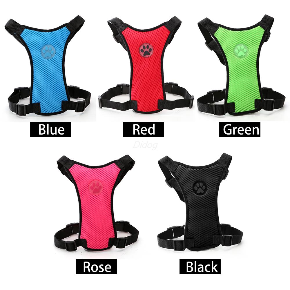 Dog wearing breathable mesh car safety harness