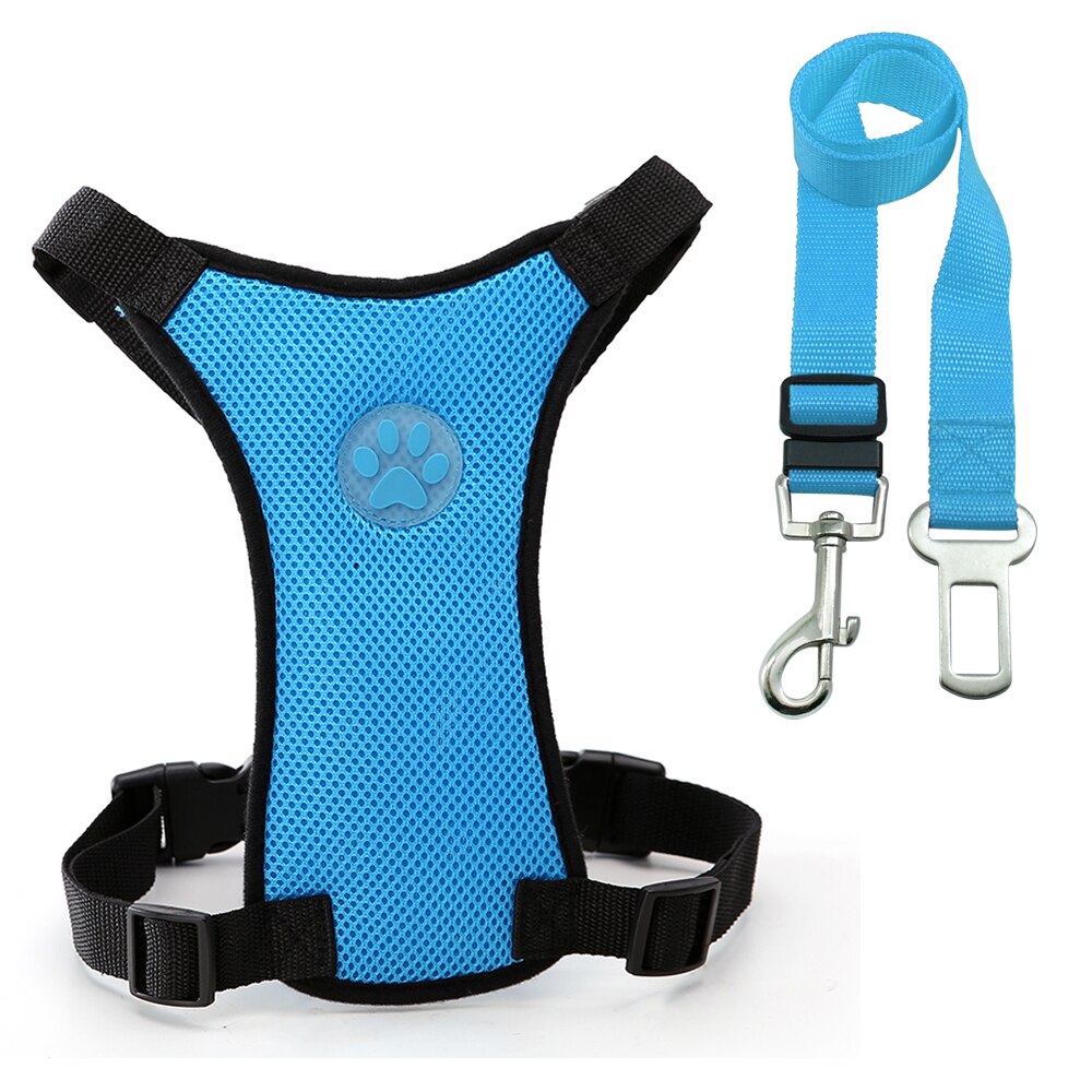 Breathable mesh dog harness close-up